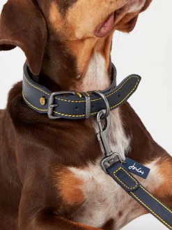 Adjustable Leather Dog Collar<Joules Best