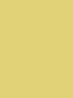 Cornish Sun Yellow Multi Surface Matt Emulsion<Joules Discount