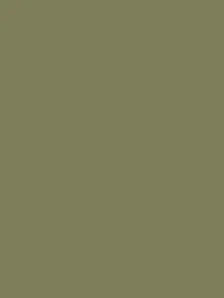 Picnic Blanket Green Multi Surface Matt Emulsion<Joules Best