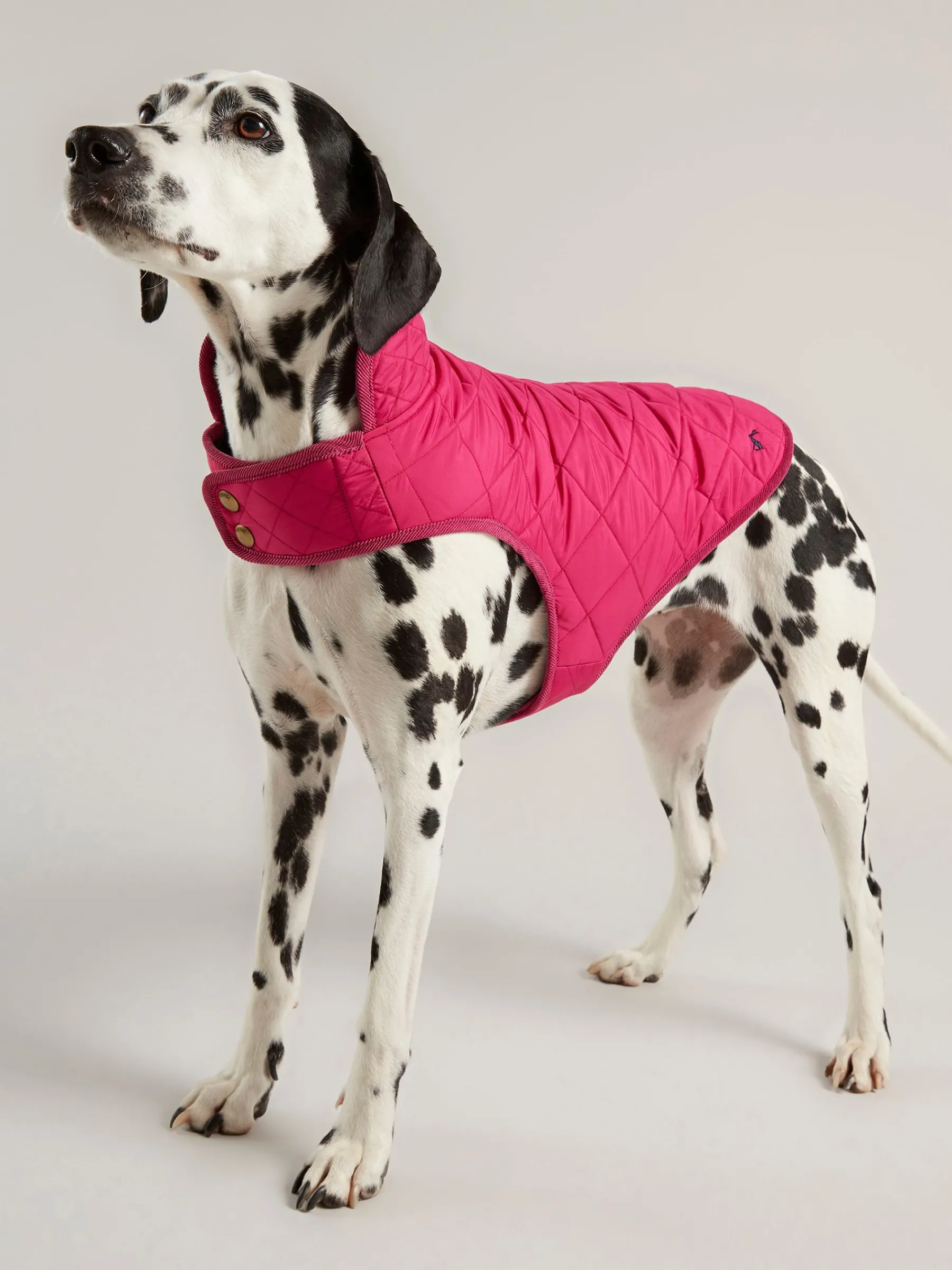 Raspberry Pink Quilted Rain Dog Coat<Joules
