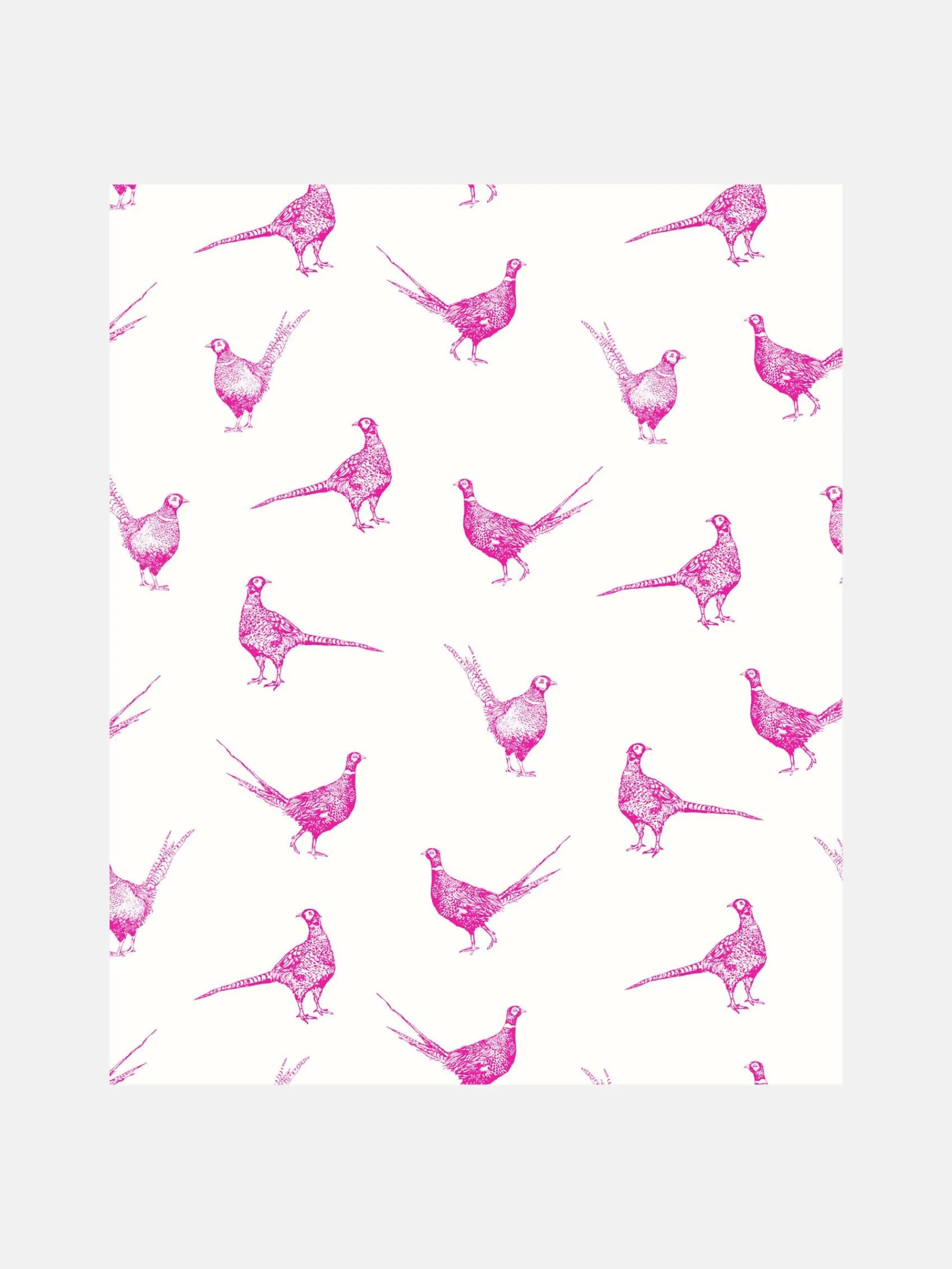 Truly Pink Flirty Pheasants 10M Wallpaper<Joules New