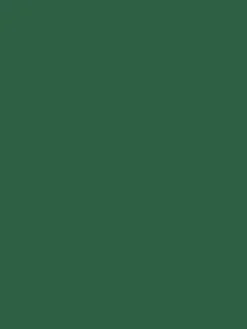 Wild Swim Green Surface Matt Emulsion<Joules Online