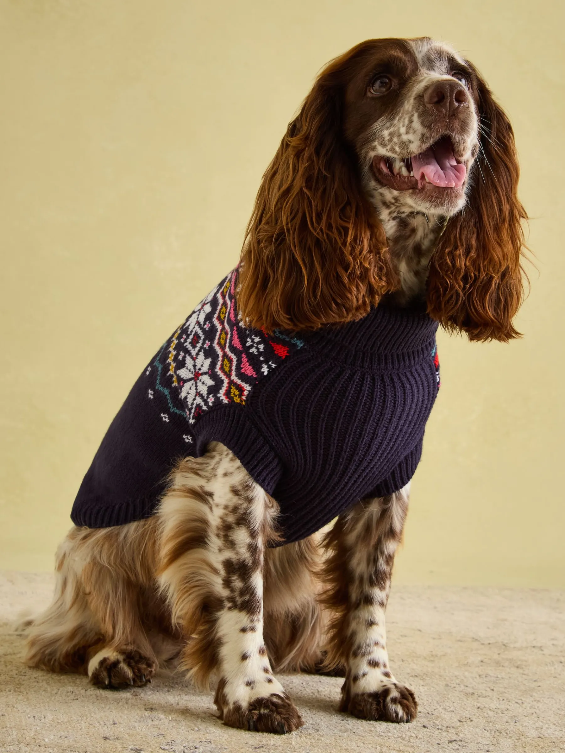 Alba Knitted Fair Isle Dog Jumper<Joules Discount