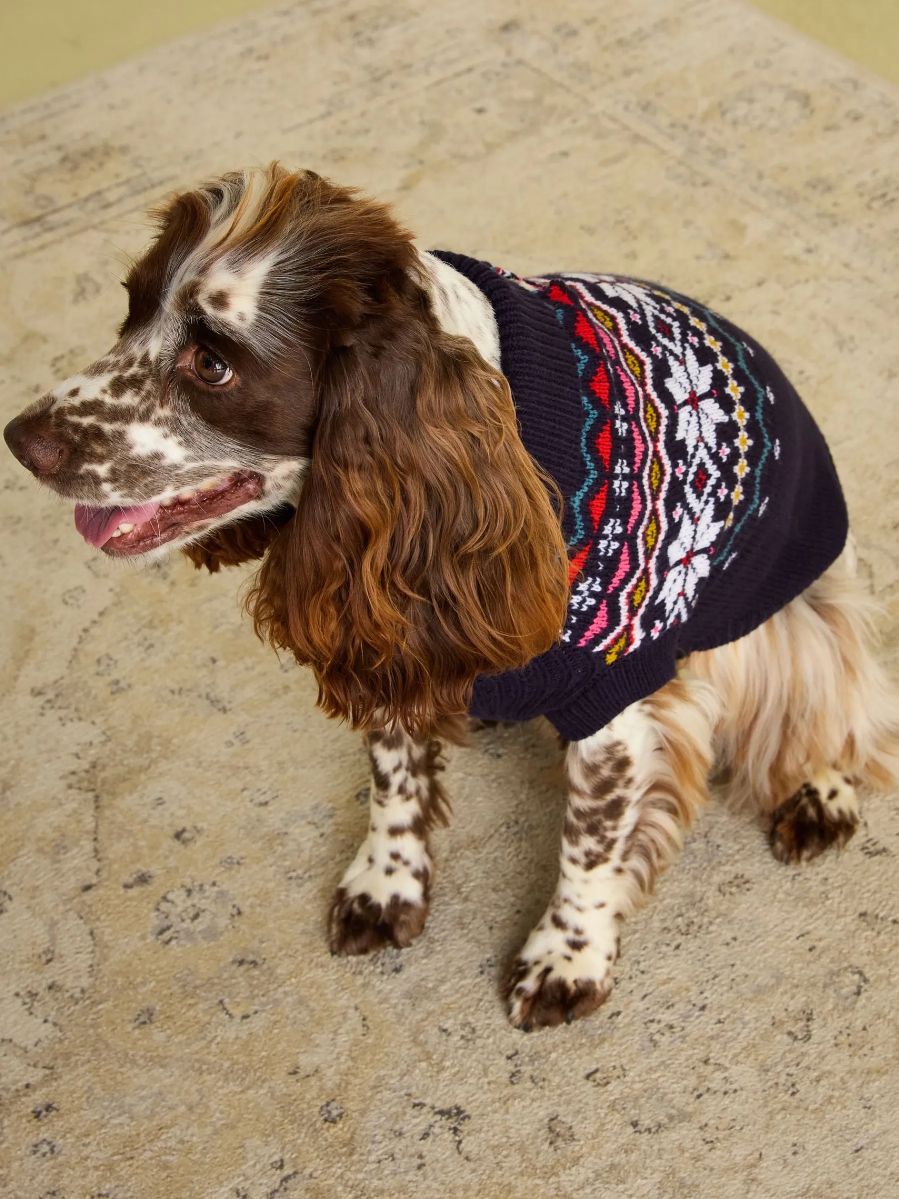 Alba Knitted Fair Isle Dog Jumper<Joules Discount