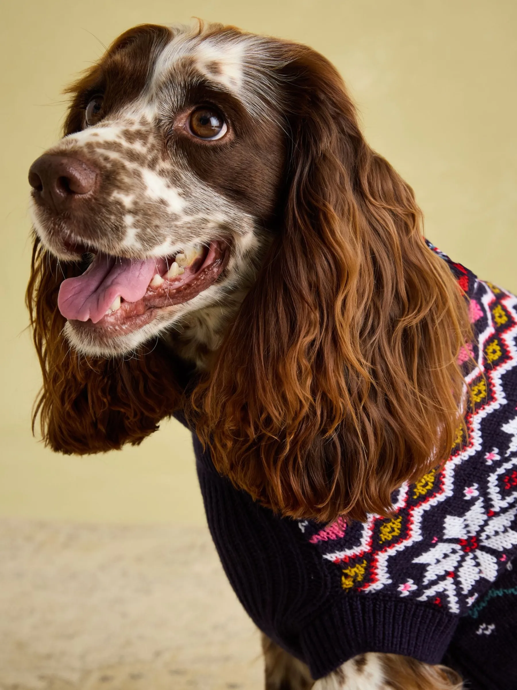 Alba Knitted Fair Isle Dog Jumper<Joules Discount