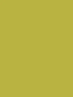 Beckett's Gold Multi Surface Matt Emulsion<Joules Discount