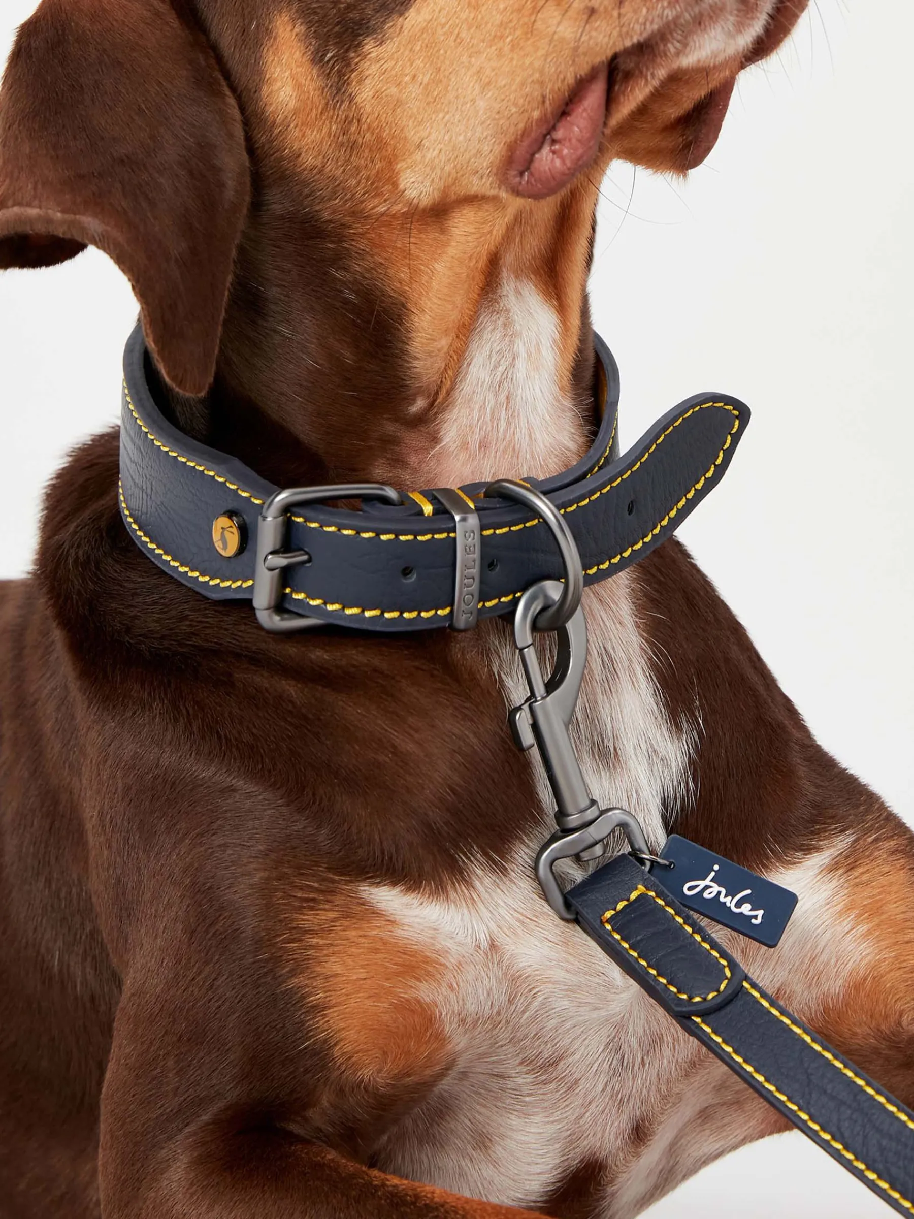 Adjustable Leather Dog Collar<Joules Best
