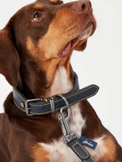 Adjustable Leather Dog Collar<Joules Best