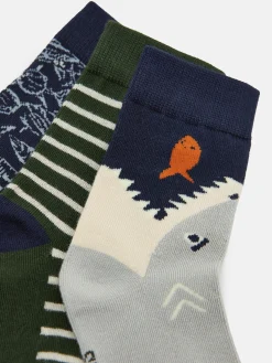 Boys' Neat Feet 3 Pack Socks<Joules Sale