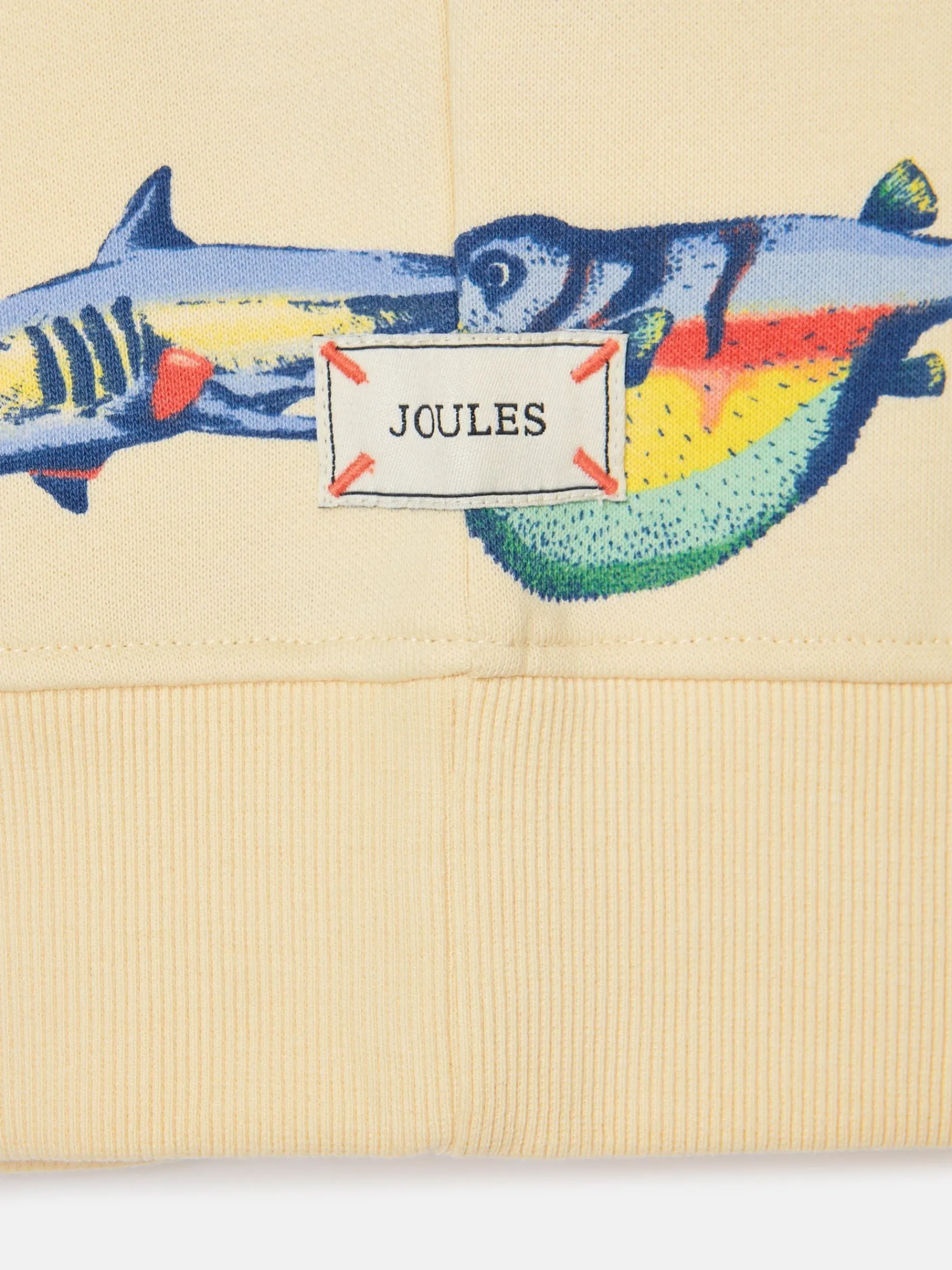 Boys' Sea Air Printed Sweatshirt<Joules Online