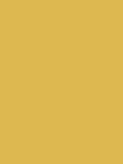 Brolley Yellow Multi Surface Matt Emulsion<Joules Online