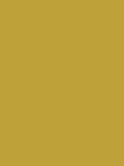 Day Trip Golden Yellow Multi Surface Matt Emulsion<Joules Discount