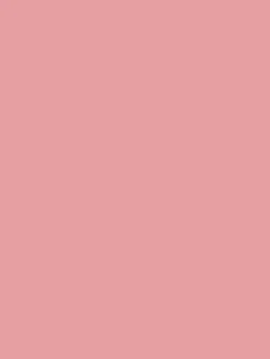 Flower Market Pink Multi Surface Matt Emulsion<Joules Hot