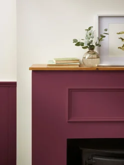 Foxton Sloes Purple Multi Surface Matt Emulsion<Joules