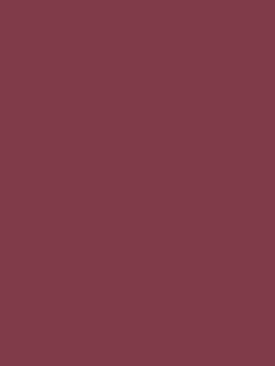 Foxton Sloes Purple Multi Surface Matt Emulsion<Joules
