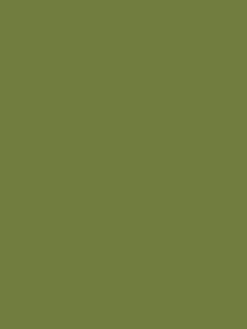 Galoshes Green Surface Matt Emulsion<Joules Online
