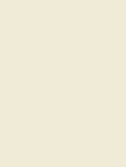 Homebird Cream Multi Surface Matt Emulsion<Joules Best