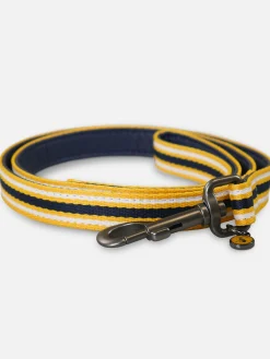 Coastal Stripe Dog Lead<Joules Online