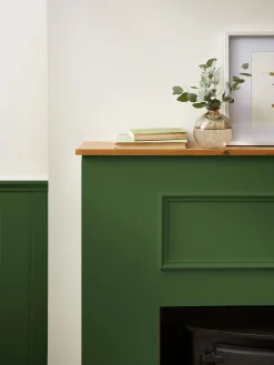 Peak Green Multi Surface Matt Emulsion<Joules Sale