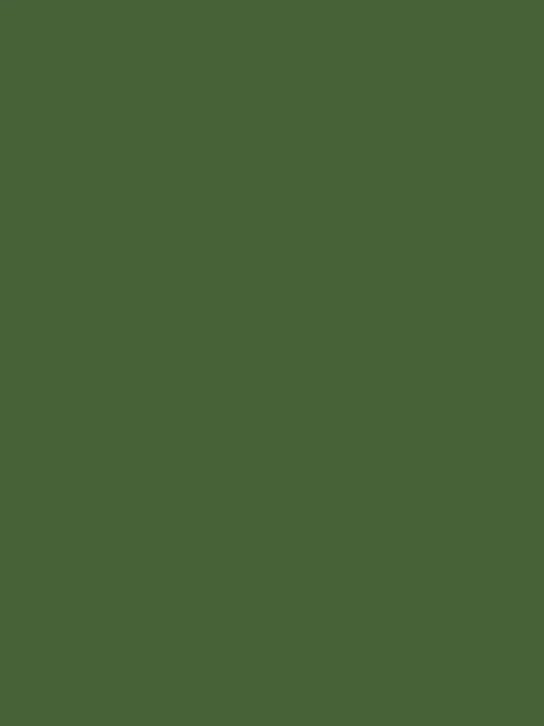 Peak Green Multi Surface Matt Emulsion<Joules Sale