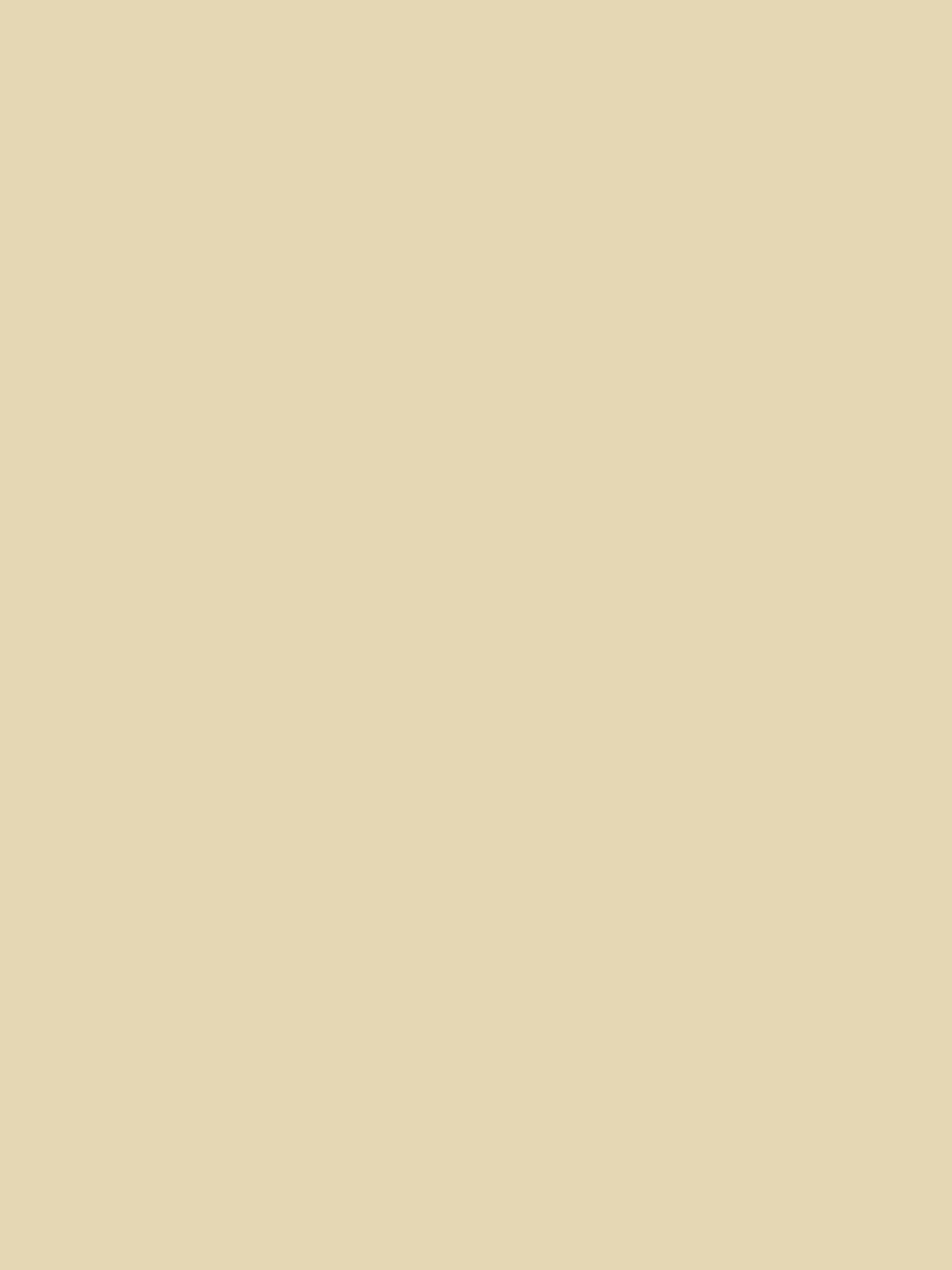 Reed White Natural Multi Surface Matt Emulsion<Joules Hot