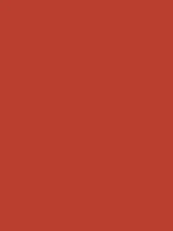 Spurn Point Red Multi Surface Matt Emulsion<Joules Sale