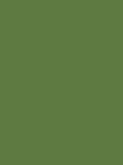 Upper Bridge Green Multi Surface Matt Emulsion<Joules Hot