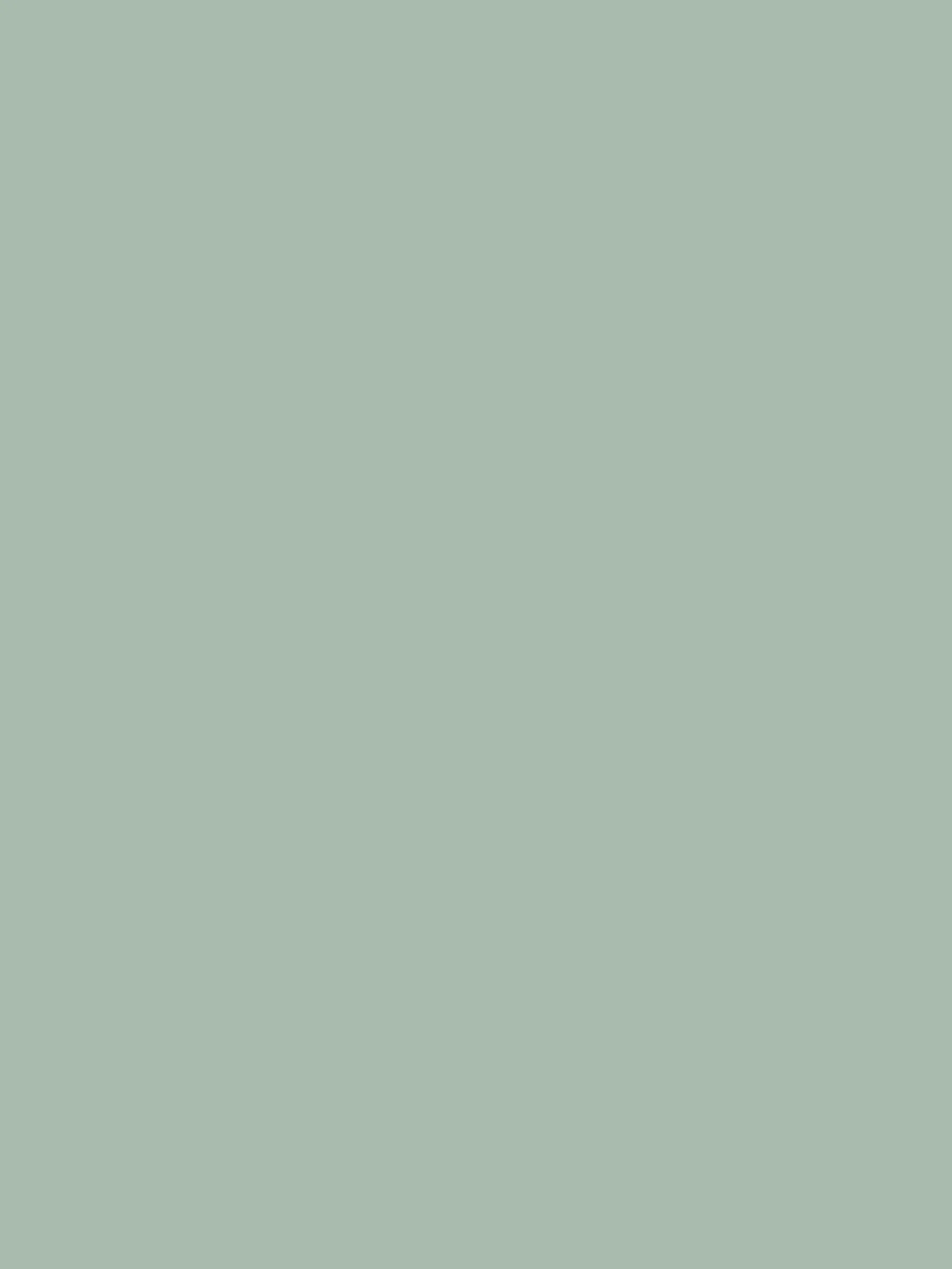 Village Store Green Multi Surface Matt Emulsion<Joules