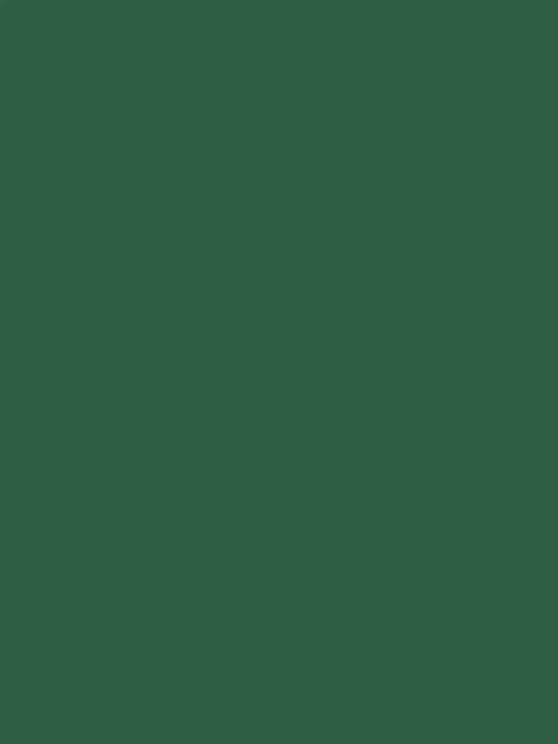 Wild Swim Green Surface Matt Emulsion<Joules Online